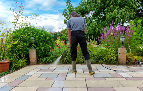 Best Restaurant Pressure Washing  in Cienegas Terrace, TX