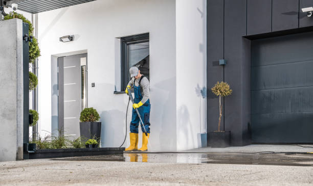 Animal Enclosure Cleaning in Cienegas Terrace, TX